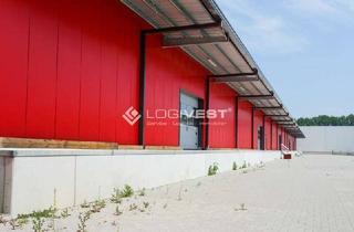 Gewerbeimmobilie mieten in 76689 Karlsdorf-Neuthard, Gepflegte Lagerfläche in Weingarten an der A5 | Top-Logistikregion Rhein-Neckar