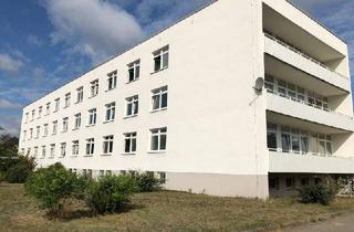 Gewerbeimmobilie mieten in Zepernicker Chaussee 45, 16321 Bernau bei Berlin, Lagerfläche in Bernau