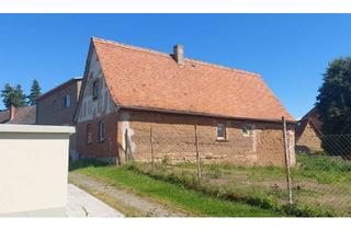 Einfamilienhaus kaufen in 06642 Nebra, Nebra (Unstrut) - Charmantes Einfamilienhaus mit Potenzial - Bereit für frischen Wi