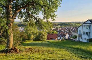 Grundstück zu kaufen in 73262 Reichenbach, Grundstück in bester Aussichtslage von Reichenbach!