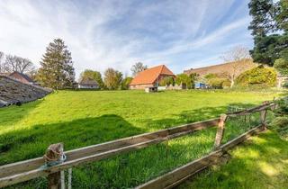 Grundstück zu kaufen in 21436 Marschacht, Das besondere, das etwas andere!