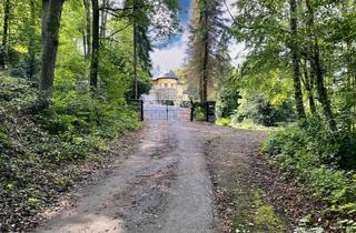 Gewerbeimmobilie kaufen in Diepensiepen 10B, 40822 Mettmann, Provisionsfrei: Exklusives Anwesen mit besonderem Flair I 5 km von Düsseldorf