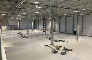 Gewerbeimmobilie mieten in 64589 Stockstadt, ** NEUBAU | ca. 26.500 m² Lagerfläche | Rampe + ebenerdig | 8,50m UKB **