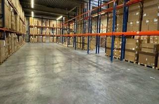 Büro zu mieten in 64653 Lorsch, ** Ab sofort verfügbar | 300 m² Halle mit direkt angrenzendem Büro | ebenerdiger Zugang **