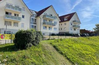 Wohnung kaufen in Breitsprecherstr. 10b, 18528 Bergen, Gemütliche Wohnung mit Balkon