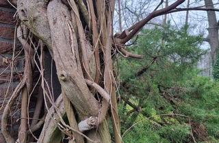 Wohnung kaufen in An der Rehwiese, 14129 Nikolassee, An der Rehwiese in Nikolassee!