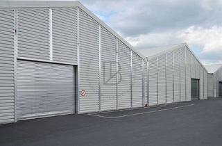 Gewerbeimmobilie mieten in 67454 Haßloch, "BAUMÜLLER AG" - ca. 7.000 m² Produktionsfläche + großzügige Freifläche - ebenerdige Andienung