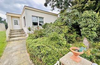 Haus kaufen in An Der Brücke, 04932 Röderland, Charmanter Bungalow im Grünen