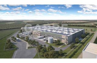 Gewerbeimmobilie mieten in 04626 Schmölln, Direkt vom Eigentümer, provisionsfrei: ca. 21.000 m² Hallenfläche, teilbar ab ca. 10.500 m²