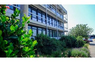 Büro zu mieten in Talhausstraße, 68766 Hockenheim, Hockenheim | Büroflächen | ca. 60 m² - ab sofort verfügbar