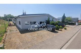 Gewerbeimmobilie kaufen in 68623 Lampertheim, Lagerhalle ohne Maklergebühren und unschlagbar niedrigen Nebenkosten