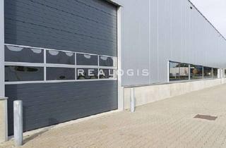 Gewerbeimmobilie mieten in 90547 Stein, Stein, ca. 1.000 m² Lagerhalle zu vermieten