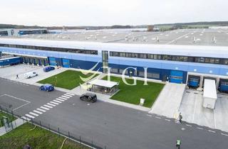 Gewerbeimmobilie mieten in Am Magna Park 10, 14542 Werder (Havel), Hallenfläche im "Magna Park Berlin / Werder" | 6.000m² (teilbar ab 2.000m²)