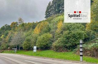 Grundstück zu kaufen in 77773 Schenkenzell, Großzügiges Grundstück in Schenkenzell