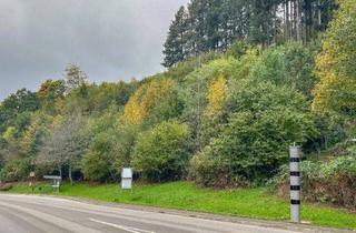 Grundstück zu kaufen in 77773 Schenkenzell, Großzügiges Grundstück in Schenkenzell