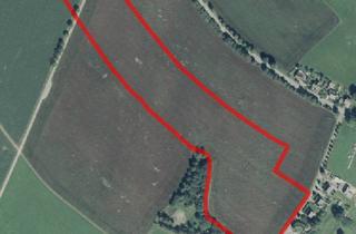Gewerbeimmobilie kaufen in Hauptstraße 14, 09514 Lengefeld, Landwirtschaftsfläche - Ackerland zu verkaufen