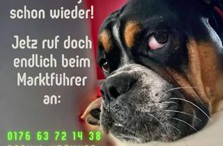 Haus kaufen in 04741 Roßwein, Bungalow mit 3 SZ offener Wohnbereich