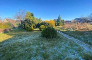 Haus kaufen in 21385 Amelinghausen, Wunderschön eingewachsen:Baugrundstück mit Altbestand