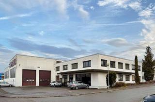 Gewerbeimmobilie kaufen in In Breiten, 78589 Dürbheim, Gepflegte Produktions-/Lagerflächen m. Büro * Kranbahn