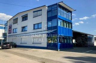 Gewerbeimmobilie mieten in 68647 Biblis, Attraktive Gewerbeimmobilie mit großzügigem Wohnhaus – Perfekt für Leben und Arbeiten an einem St...