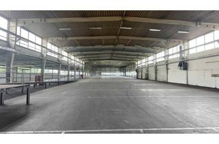 Gewerbeimmobilie mieten in 33813 Oerlinghausen, Gut nutzbare Lagerhalle mit Sozialräumen