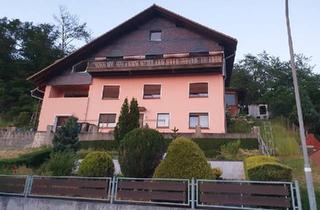 Wohnung kaufen in 35239 Steffenberg, Steffenberg - Verkaufe neu renovierte Eigentumswohnung Renditeobjekt