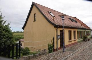 Doppelhaushälfte kaufen in 18465 Tribsees, Tribsees - Doppelhaushälfte in Tribsees