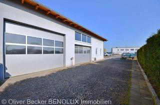Gewerbeimmobilie kaufen in 53913 Swisttal, Büro und ein Einfamilienhaus. Ideale Kombination aus Werkstatt oder Lagerhalle.
