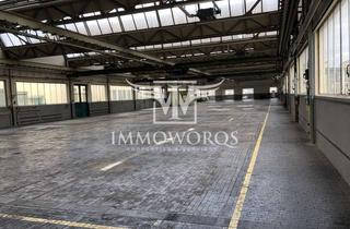 Gewerbeimmobilie mieten in 72581 Dettingen, Bestandsobjekt / Logistik-/ Produktionshalle **provisionsfreie Vermietung**