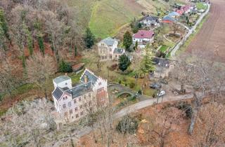 Haus kaufen in 06618 Naumburg, Weinberg mit Herrenhaus, mit Verwalterhaus, mit 2 vermieteten Häusern und vielem mehr
