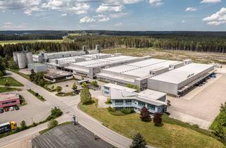 Gewerbeimmobilie mieten in Am Fohrenwald, 78087 Mönchweiler, Flexibel nutzbare Lager- und Produktionshallen