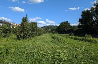 Grundstück zu kaufen in 69469 Weinheim, Großes Wohngrundstück in Weinheim-Lützelsachsen Mitte