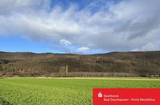 Gewerbeimmobilie kaufen in 32545 Bad Oeynhausen, Waldparzelle im Wiehengebirge