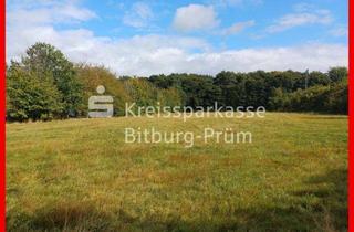 Grundstück zu kaufen in 54662 Herforst, Attraktive Baugrundstücke in Ortsrandlage