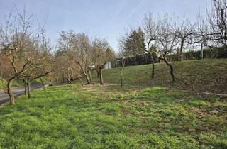 Grundstück zu kaufen in 75045 Walzbachtal, Bauplatz für Mehrfamilienhaus