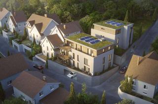 Penthouse kaufen in 69469 Weinheim, Attraktive Penthouse - Neubauwohnung an der Bergstraße