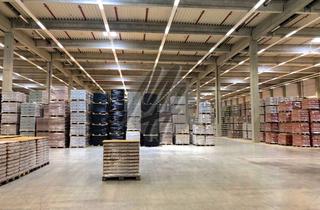 Büro zu mieten in 63329 Egelsbach, SCHNELL VERFÜGBAR ✓ Lager-/Logistik (8.500 m²) & Büro-/Sozial (700 m²) zu vermieten