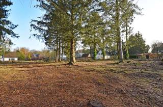 Grundstück zu kaufen in 21521 Aumühle, Unbebautes Sahnegrundstück: weitläufiges, ca. 2.287 m² großes Grundstück mit Südausrichtung