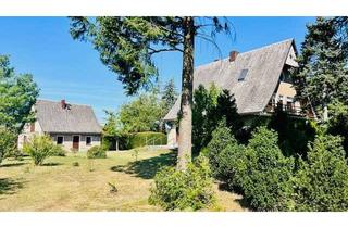 Haus kaufen in 15936 Dahme/Mark, Großes Wohnhaus auf sehr großem Grundstück in Randlage