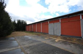 Gewerbeimmobilie mieten in 15926 Luckau, Halle zu vermieten - in Radlage von Luckau