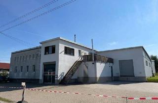 Gewerbeimmobilie kaufen in 02627 Hochkirch, Modern ausgestattetes Produktions- und Lagergebäude mit Büros im Obergeschoss