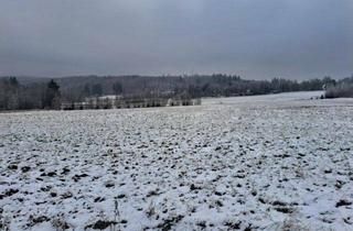 Grundstück zu kaufen in 95192 Lichtenberg, Entwicklungsfläche mit 33.621 m² in unmittelbarer Nähe zum herrlichen Frankenwaldsee mit Seebühne in 95192 Lichtenberg/Frankenwald - Grundstück bereits parzelliert