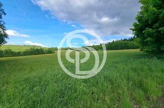 Grundstück zu kaufen in 95192 Lichtenberg, Entwicklungsfläche mit 33.621 m² in unmittelbarer Nähe zum herrlichen Frankenwaldsee mit Seebühne in 95192 Lichtenberg/Frankenwald