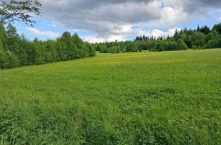 Grundstück zu kaufen in 95192 Lichtenberg, Entwicklungsfläche im Frankenwald: 33.621 m² mit 78 Parzellen - direkt am Frankenwaldsee / Seebühne