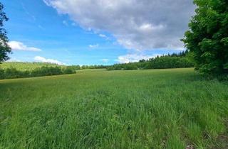 Grundstück zu kaufen in 95192 Lichtenberg, Entwicklungsfläche für touristische Zwecke: 33.621 m² - direkt am Frankenwaldsee / Seebühne - 95192 Lichtenberg