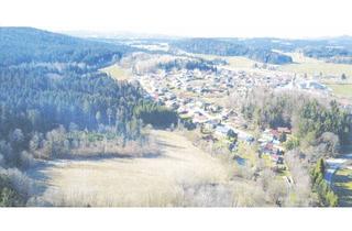 Grundstück zu kaufen in 94259 Kirchberg im Wald, Großes Areal mit viel Potential