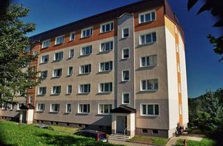 Wohnung mieten in Neil-Armstrong-Straße, 08248 Klingenthal, 2-Raum-Wohnung mit Balkon