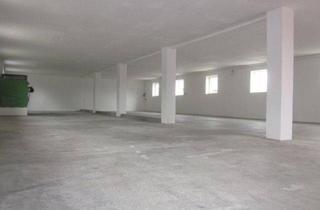 Geschäftslokal mieten in Jocketaerstr. 104, 08525 Plauen, *BIRI* - Lagerhalle mit Freifläche und Carportstellplätzen