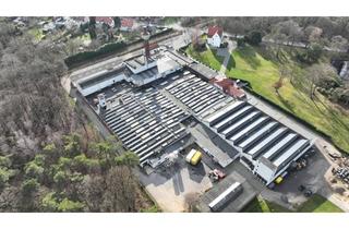 Büro zu mieten in Industriestraße 45, 41844 Wegberg, Geräumige Lagerhalle mit Büro