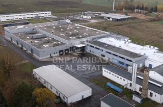 Gewerbeimmobilie mieten in 06905 Bad Schmiedeberg, Preiswerte Lager- / Produktionsflächen in Bad Schmiedeberg zu vermieten